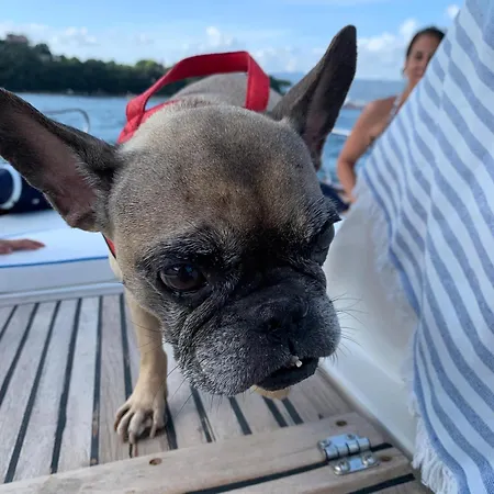 Civico 69 斯培西亚